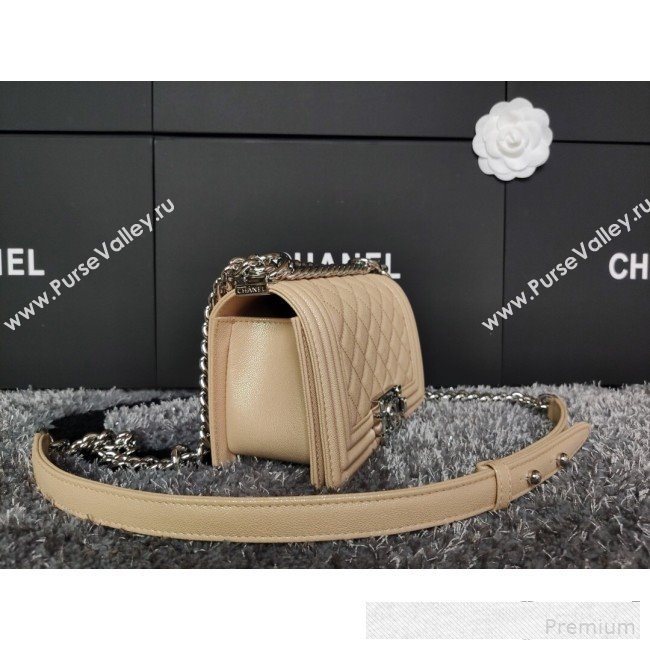 Chanel Iridescent Quilted Grained Leather Classic Small Boy Flap Bag Beige/Silver 2019 (FM-9061524)