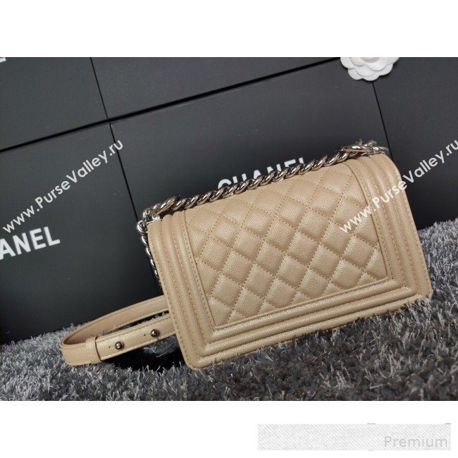 Chanel Iridescent Quilted Grained Leather Classic Small Boy Flap Bag Beige/Silver 2019 (FM-9061524)
