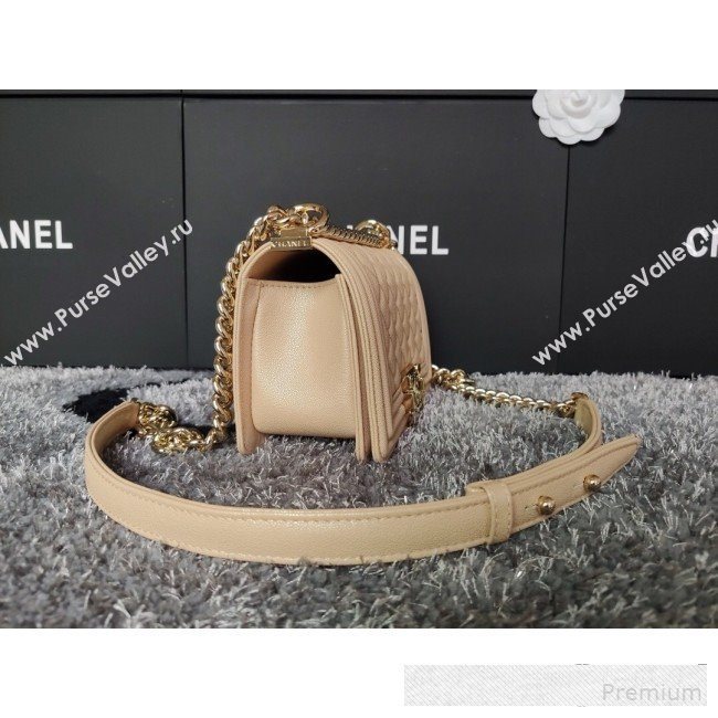 Chanel Iridescent Quilted Grained Leather Classic Small Boy Flap Bag Beige/Gold 2019 (FM-9061525)