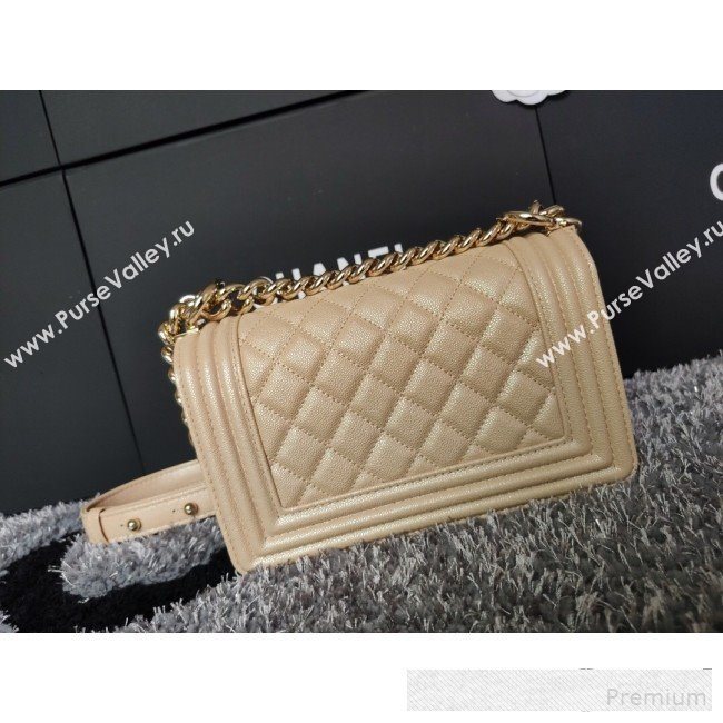Chanel Iridescent Quilted Grained Leather Classic Small Boy Flap Bag Beige/Gold 2019 (FM-9061525)