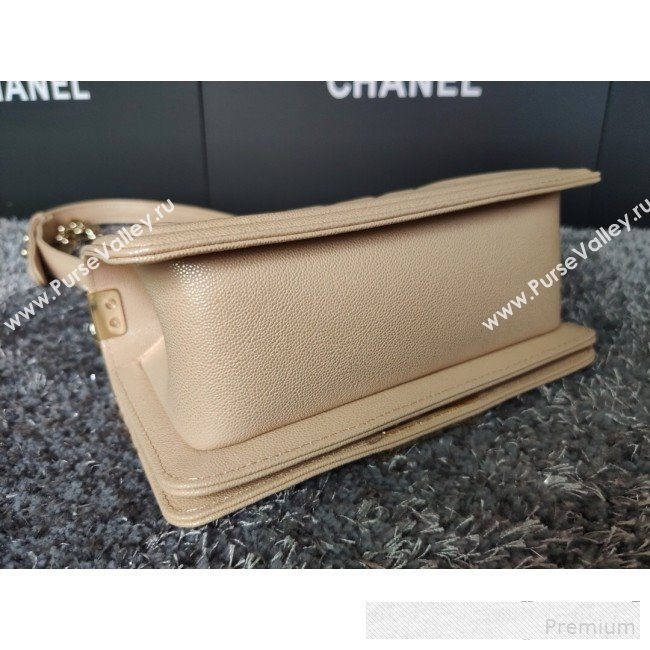 Chanel Iridescent Quilted Grained Leather Classic Small Boy Flap Bag Beige/Gold 2019 (FM-9061525)