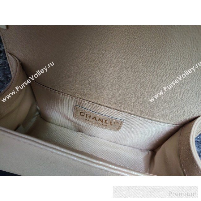 Chanel Iridescent Quilted Grained Leather Classic Small Boy Flap Bag Beige/Gold 2019 (FM-9061525)