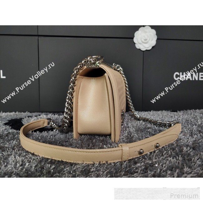 Chanel Iridescent Quilted Grained Leather Classic Medium Boy Flap Bag Beige/Silver 2019 (FM-9061526)