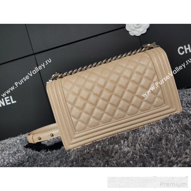 Chanel Iridescent Quilted Grained Leather Classic Medium Boy Flap Bag Beige/Silver 2019 (FM-9061526)