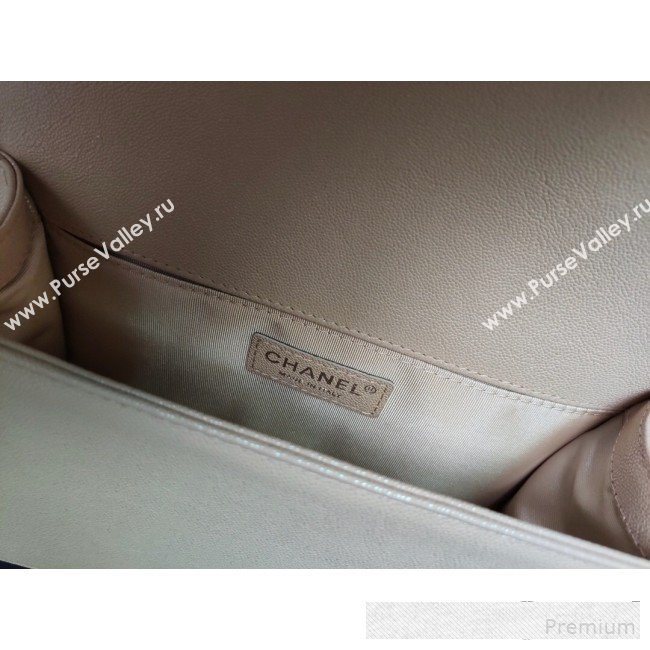 Chanel Iridescent Quilted Grained Leather Classic Medium Boy Flap Bag Beige/Silver 2019 (FM-9061526)