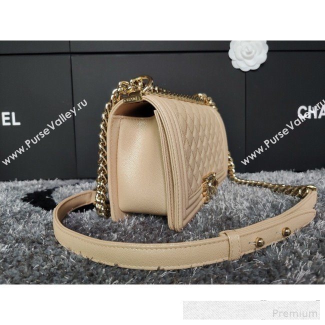 Chanel Iridescent Quilted Grained Leather Classic Medium Boy Flap Bag Beige/Gold 2019 (FM-9061527)
