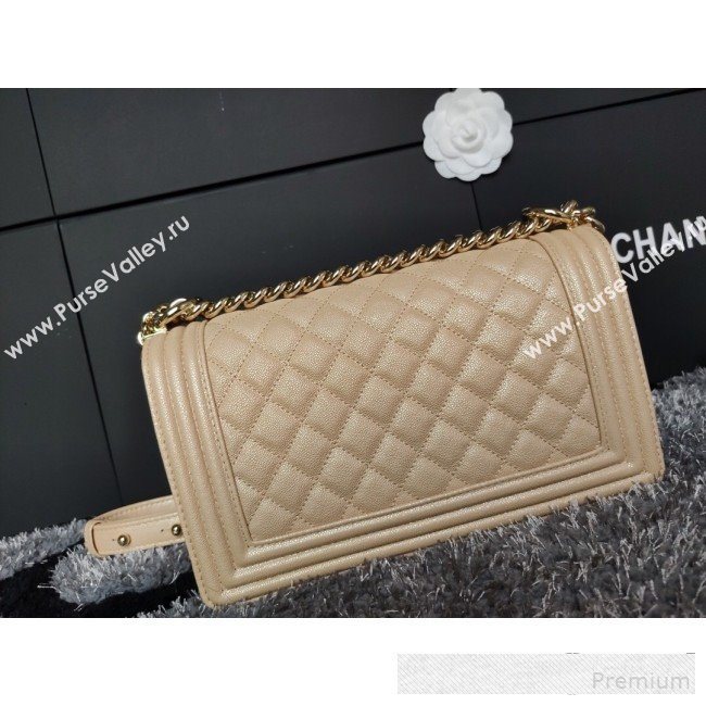 Chanel Iridescent Quilted Grained Leather Classic Medium Boy Flap Bag Beige/Gold 2019 (FM-9061527)