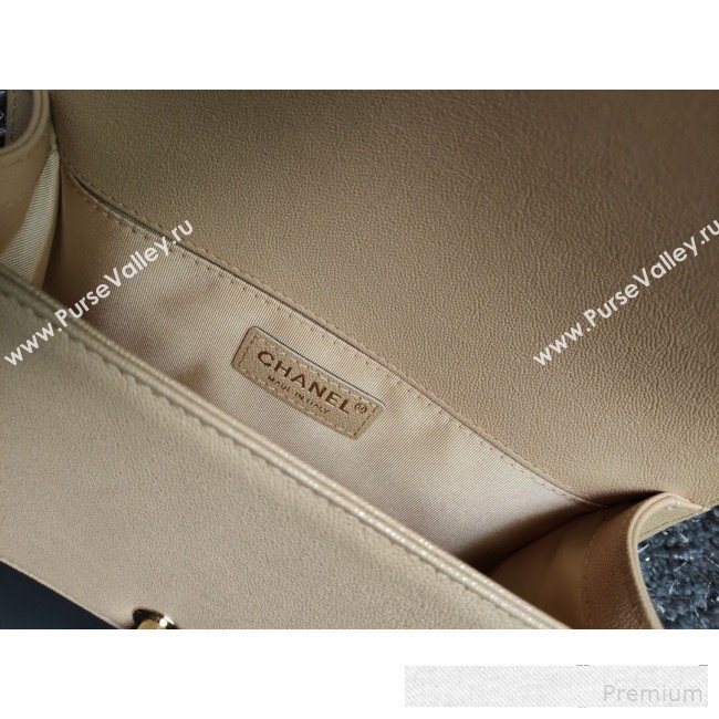 Chanel Iridescent Quilted Grained Leather Classic Medium Boy Flap Bag Beige/Gold 2019 (FM-9061527)