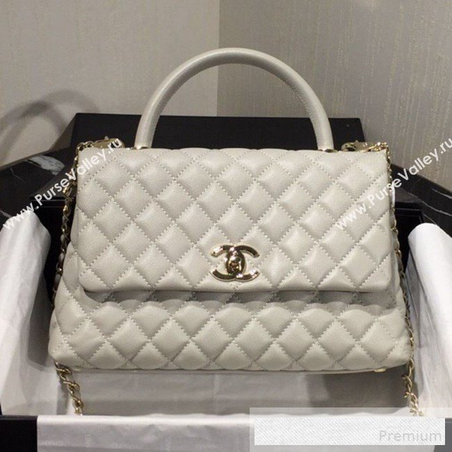 Chanel Grained Quilted Calfskin Coco Handle Flap Bag Light Gray 2019 (AFEI-9053019)