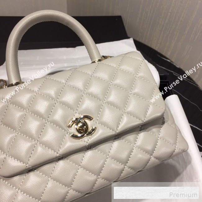 Chanel Small Grained Quilted Calfskin Coco Handle Flap Bag Light Gray 2019 (AFEI-9053017)