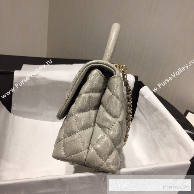 Chanel Small Grained Quilted Calfskin Coco Handle Flap Bag Light Gray 2019 (AFEI-9053017)