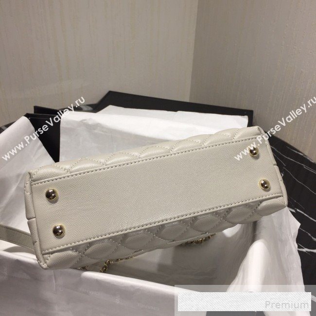 Chanel Small Grained Quilted Calfskin Coco Handle Flap Bag Light Gray 2019 (AFEI-9053017)