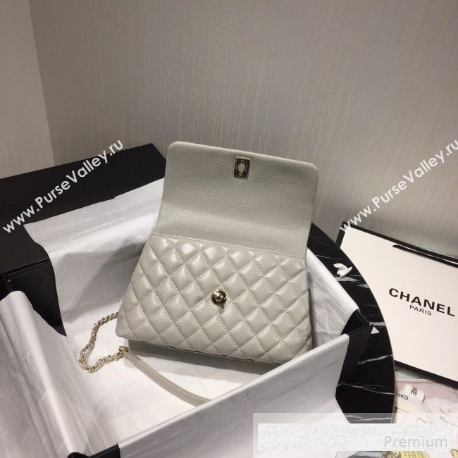Chanel Small Grained Quilted Calfskin Coco Handle Flap Bag Light Gray 2019 (AFEI-9053017)