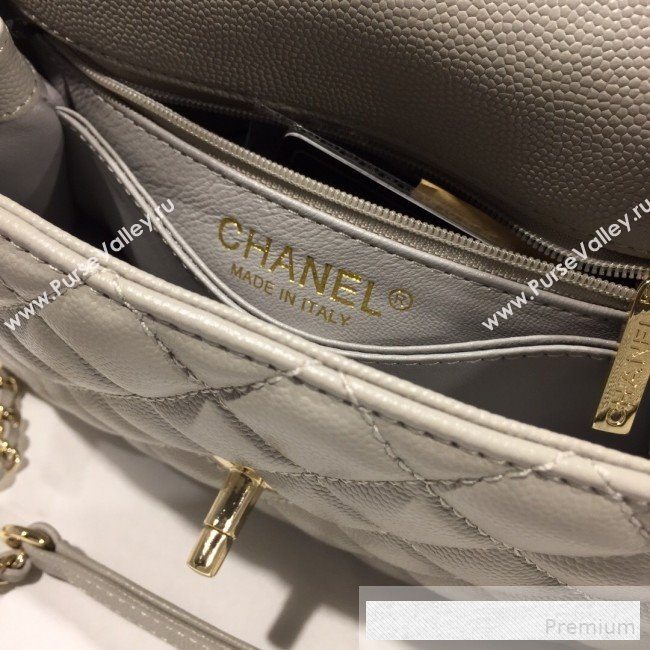 Chanel Small Grained Quilted Calfskin Coco Handle Flap Bag Light Gray 2019 (AFEI-9053017)
