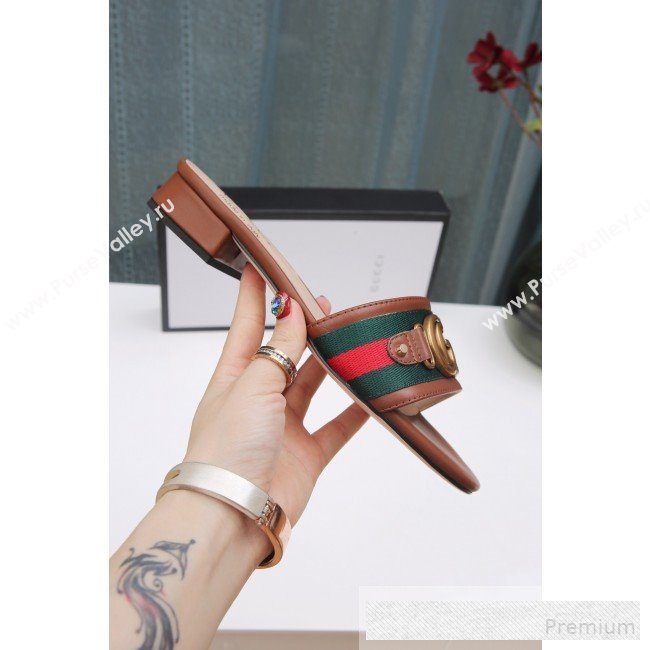 Gucci GG Web Flat Slide Sandals Brown 2019 (ANDI-9061852)