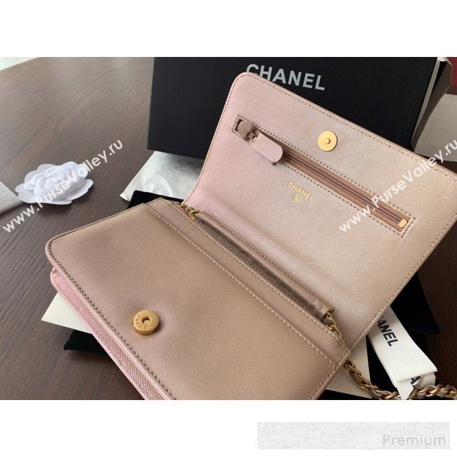 Chanel Iridescent Grained Calfskin Boy Wallet On Chain WOC A80287 Nude 2019 (BLWX-9062411)