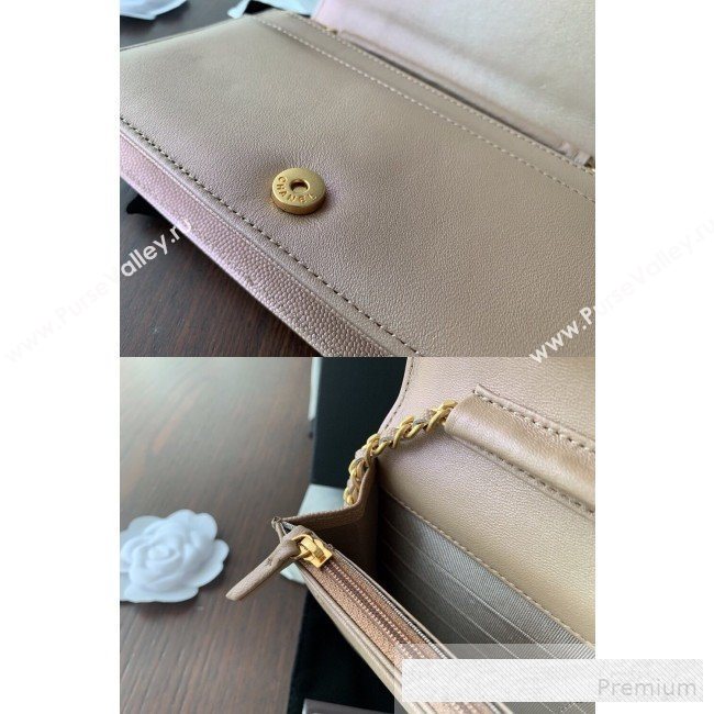 Chanel Iridescent Grained Calfskin Boy Wallet On Chain WOC A80287 Nude 2019 (BLWX-9062411)