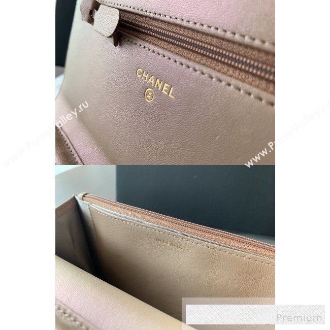 Chanel Iridescent Grained Calfskin Boy Wallet On Chain WOC A80287 Nude 2019 (BLWX-9062411)