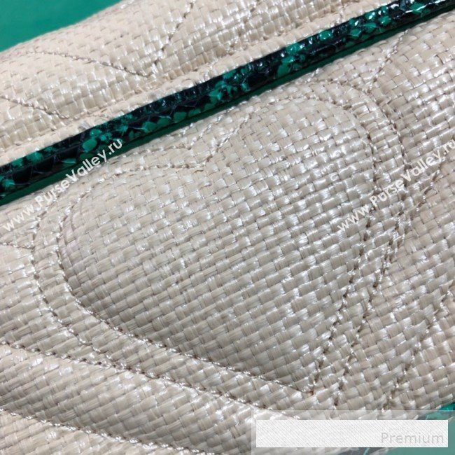 Gucci GG Marmont Raffia Mini Shoulder Bag ‎with Snakeskin Trim ‎446744 White/Green 2019 (BLWX-9062427)