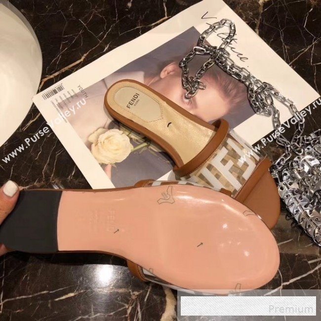 Fendi FF PVC Flat Slide Sandals Brown 2019 (XZG-9062532)