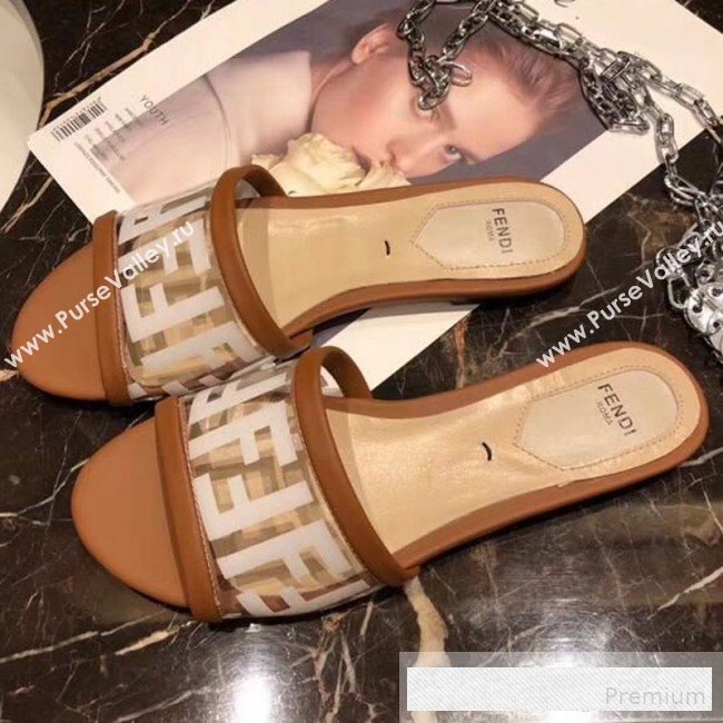 Fendi FF PVC Flat Slide Sandals Brown 2019 (XZG-9062532)