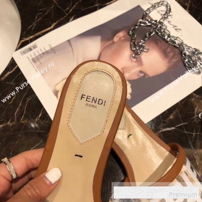 Fendi FF PVC Flat Slide Sandals Brown 2019 (XZG-9062532)