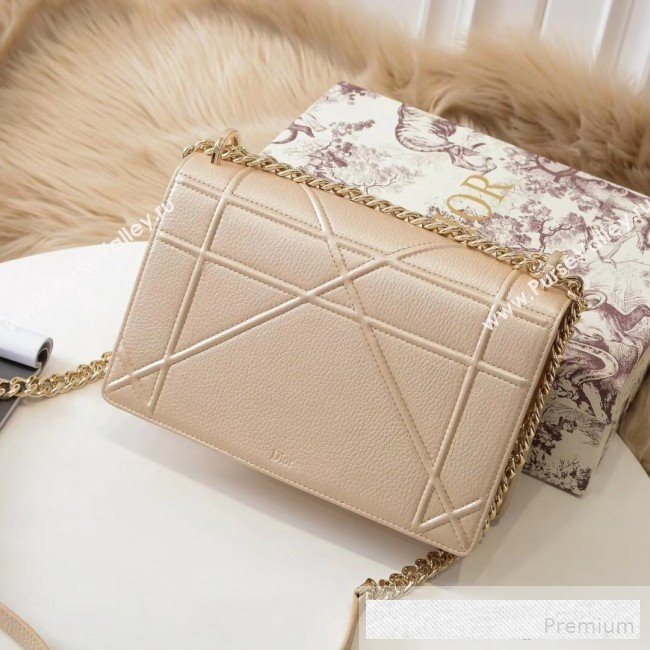 Dior Diorama Large Flap Bag in Litchi Grained Cannage Leather Nude 2019 (BINF-9062759)