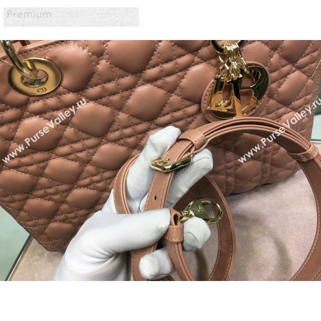 Dior Lady Dior Cannage Lambskin Tote Bag Apricot 2019 (XYD-9070250)