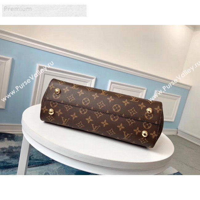 Louis Vuitton Monogram Canvas Cluny MM Braided Top Handle Bag M44669 2019 (FANG-9071257)