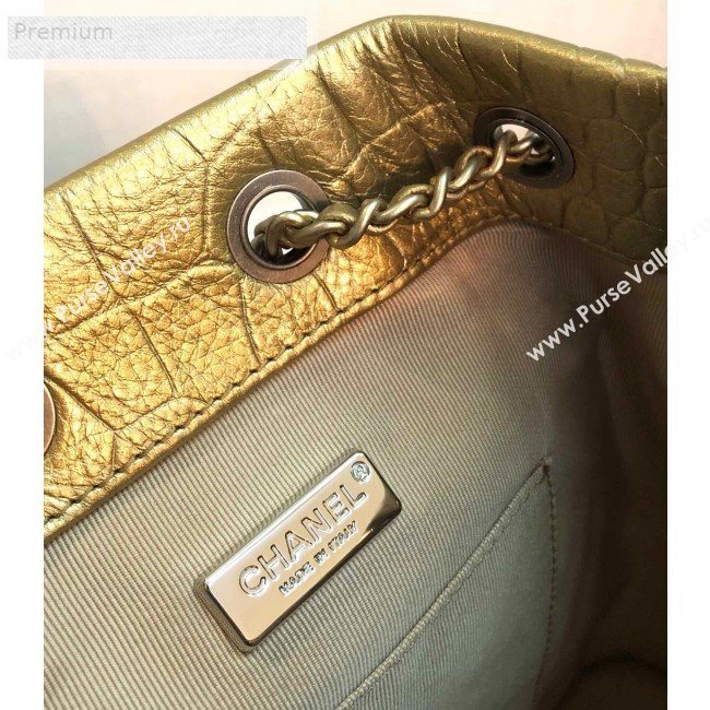 Chanel Metallic Crocodile Embossed Calfskin Gabrielle Small Backpack A94485 Gold 2019 (YD-9071202)