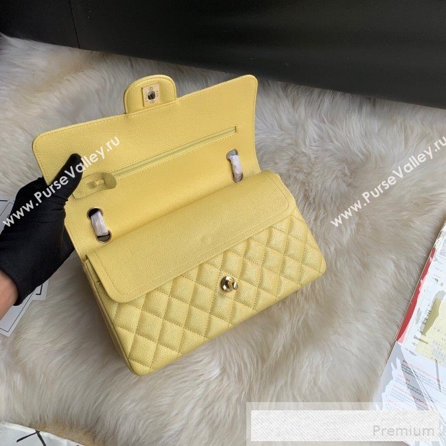 Chanel Classic Quilted Iridescent Grained Calfskin Flap Bag Yellow 2019 (SSZ-9052080)