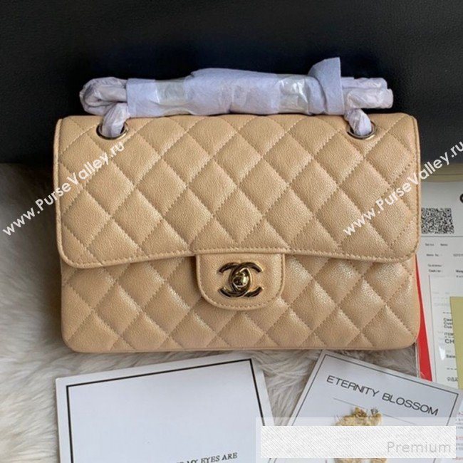 Chanel Small Classic Quilted Iridescent Grained Calfskin Flap Bag Nude 2019 (SSZ-9052081)