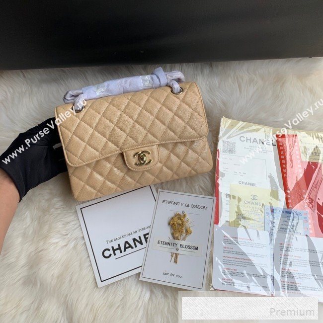 Chanel Small Classic Quilted Iridescent Grained Calfskin Flap Bag Nude 2019 (SSZ-9052081)