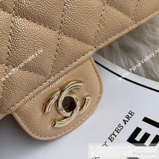 Chanel Small Classic Quilted Iridescent Grained Calfskin Flap Bag Nude 2019 (SSZ-9052081)