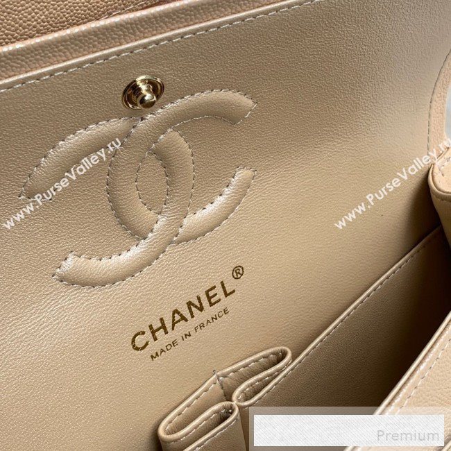 Chanel Small Classic Quilted Iridescent Grained Calfskin Flap Bag Nude 2019 (SSZ-9052081)