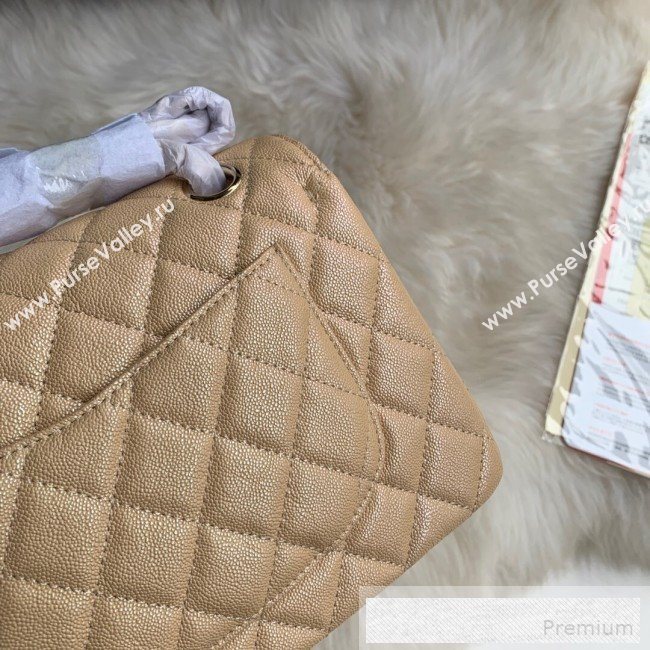 Chanel Small Classic Quilted Iridescent Grained Calfskin Flap Bag Nude 2019 (SSZ-9052081)
