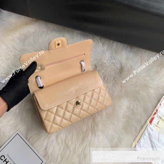 Chanel Small Classic Quilted Iridescent Grained Calfskin Flap Bag Nude 2019 (SSZ-9052081)