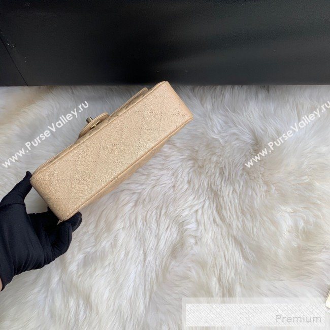 Chanel Small Classic Quilted Iridescent Grained Calfskin Flap Bag Nude 2019 (SSZ-9052081)