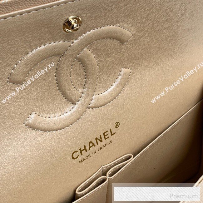 Chanel Classic Quilted Iridescent Grained Calfskin Flap Bag Nude 2019 (SSZ-9052082)