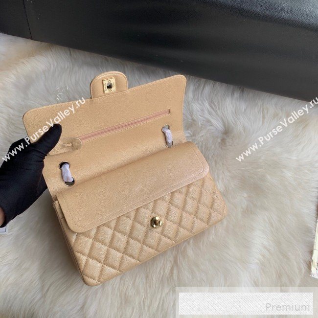 Chanel Classic Quilted Iridescent Grained Calfskin Flap Bag Nude 2019 (SSZ-9052082)