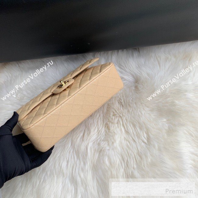 Chanel Classic Quilted Iridescent Grained Calfskin Flap Bag Nude 2019 (SSZ-9052082)