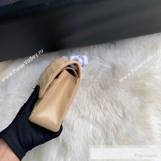 Chanel Classic Quilted Iridescent Grained Calfskin Flap Bag Nude 2019 (SSZ-9052082)