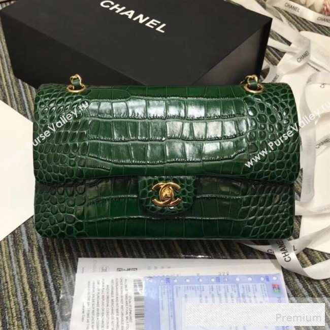 Chanel Crocodile Embossed Calfskin Classic Flap Bag A01112 Green 2019 (XIN-9052915)