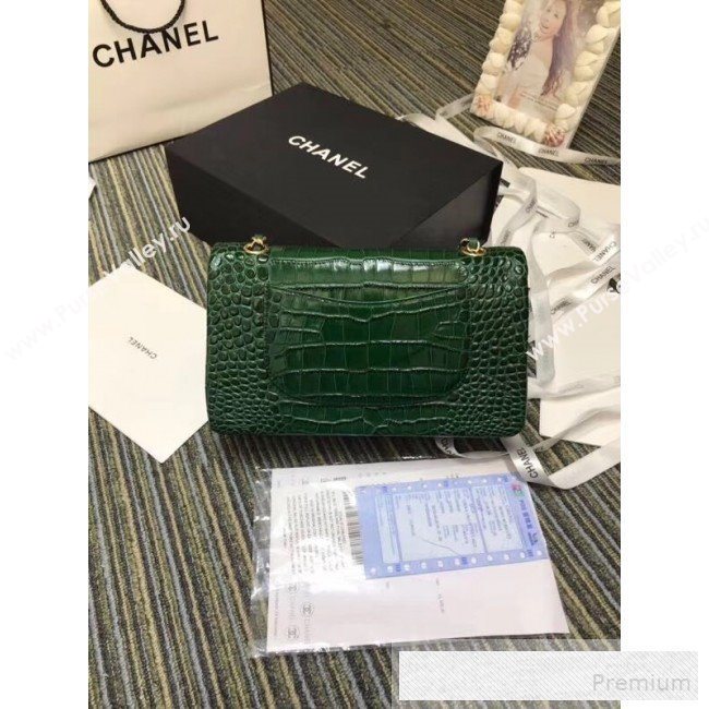 Chanel Crocodile Embossed Calfskin Classic Flap Bag A01112 Green 2019 (XIN-9052915)