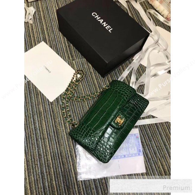 Chanel Crocodile Embossed Calfskin Classic Flap Bag A01112 Green 2019 (XIN-9052915)