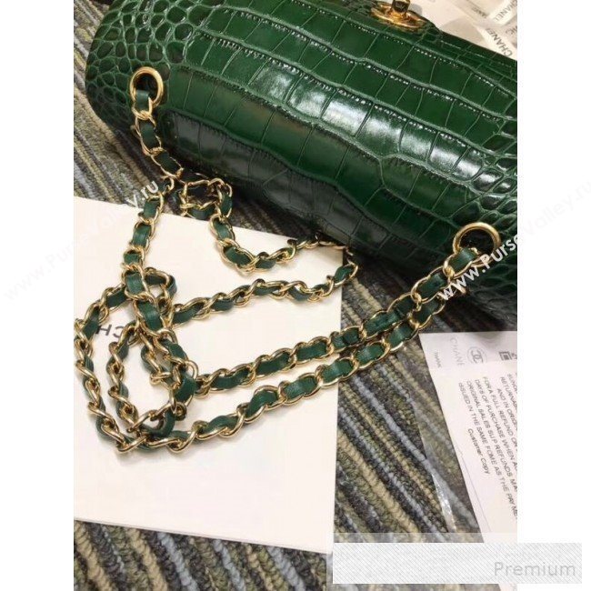 Chanel Crocodile Embossed Calfskin Classic Flap Bag A01112 Green 2019 (XIN-9052915)