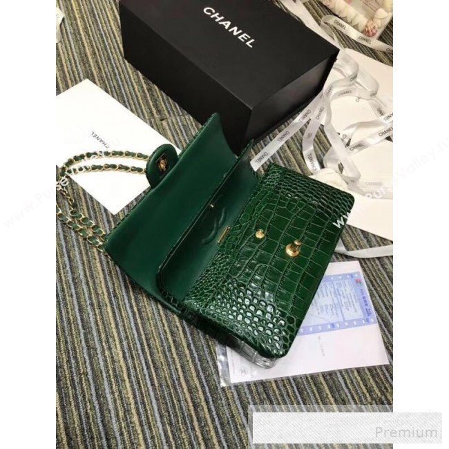 Chanel Crocodile Embossed Calfskin Classic Flap Bag A01112 Green 2019 (XIN-9052915)