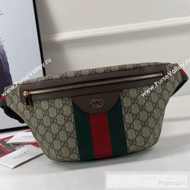 Gucci GG Canvas Belt Bag 575082 2019 (DLH-9052964)