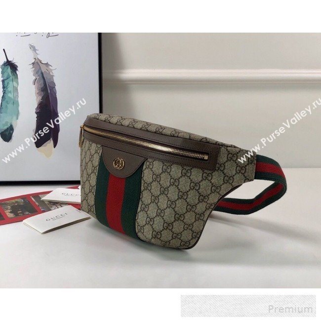 Gucci GG Canvas Belt Bag 575082 2019 (DLH-9052964)