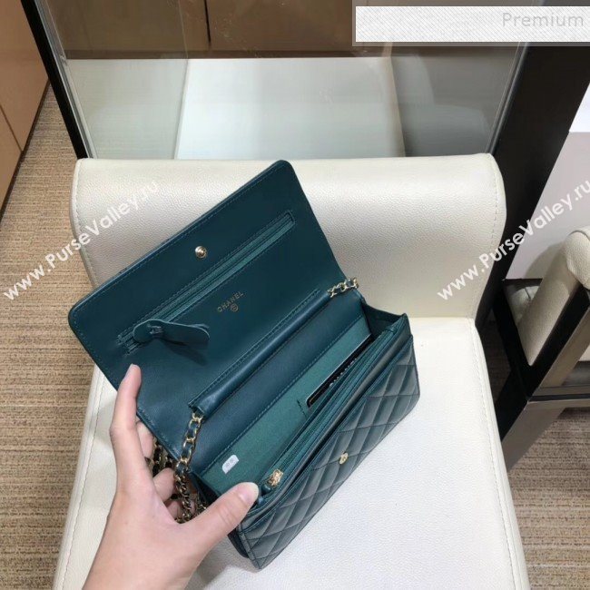 Chanel Quilted Lambskin Chain Trim Wallet on Chain WOC AP0674 Green 2019 (SMJD-9082314)